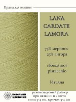 Пряжа для вязания Lanecardate, 100 гр., Pistacchio
