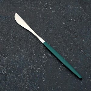 Нож столовый Magistro «Блинк», 22 см, цвет серебро, зелёная ручка, на подвесе