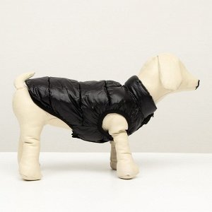 Куртка для собак двухсторонняяс принтом, размер 12 (ДС 28 см, ОГ 38 см, ОШ 27 см), чёрная