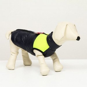Куртка для собак на молнии, размер 8 (ДС 23 см, ОГ 30, ОШ 22 см), синяя с жёлтым