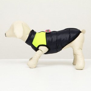 Куртка для собак на молнии, размер 8 (ДС 23 см, ОГ 30, ОШ 22 см), синяя с жёлтым