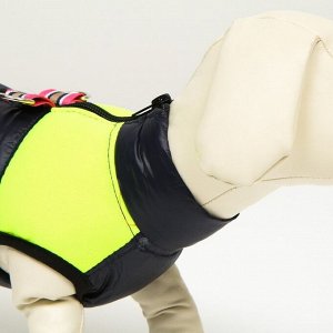 Куртка для собак на молнии, размер 8 (ДС 23 см, ОГ 30, ОГ 22 см), синяя с жёлтым