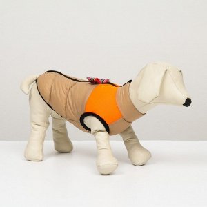 Куртка для собак на молнии, размер 12 (ДС 28 см, ОГ 38 см, ОШ 27 см), бежевая с оранжевым