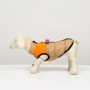 Куртка для собак на молнии, размер 8 (ДС 23 см, ОГ 30, ОГ 22 см), бежевая с оранжевым