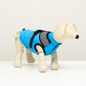 Куртка для собак со светоотражающей шлейкой, размер 10 (ДС 25, ОГ 34, ОШ 24), голубая