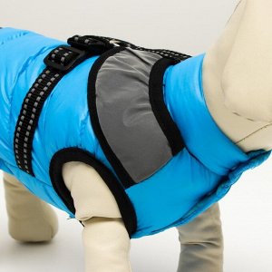 Куртка для собак со светоотражающей шлейкой, размер 10 (ДС 25, ОГ 34, ОШ 24), голубая