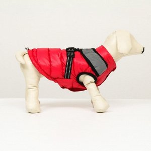 Куртка для собак со светоотражающей шлейкой, размер14 (ДС 32 ОГ 42 ОШ 31), красная