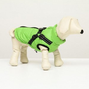 Куртка для собак со шлейкой,  размер 8 (ДС 23 см, ОГ 30 см, ОГ 22 см), салатовая