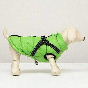 Куртка для собак со шлейкой, размер 12 (ДС 28 см, ОГ 38 см, ОШ 27 см), салатовая