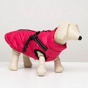 Куртка для собак со шлейкой,  размер 8 (ДС 23 см, ОГ 30 см, ОГ 22 см), розовая