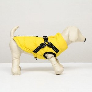 Куртка для собак со шлейкой, размер 10 (ДС 25 см, ОГ 34 см, ОШ 24 см),  лимонная