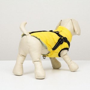 Куртка для собак со шлейкой, размер 18 (ДС 40 см, ОГ 50 см, ОШ 38 см),  лимонная