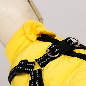 Куртка для собак со шлейкой, размер 12 (ДС 28 см, ОГ 38 см, ОШ 27 см),  лимонная