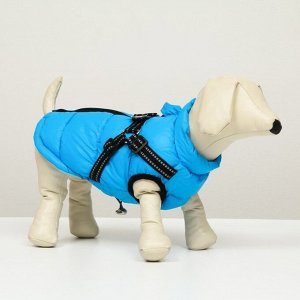 Куртка для собак со шлейкой, размер 10 (ДС 25 см, ОГ 34 см, ОШ 24 см), лазурная