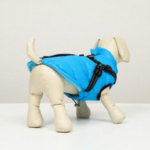 Куртка для собак со шлейкой, размер 20 (ДС 43 см, ОГ 56 см, ОШ41 см), лазурная
