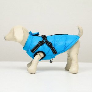 Куртка для собак со шлейкой, размер 16 (ДС 36 см, ОГ 46 см, ОШ 35 см),  лазурная