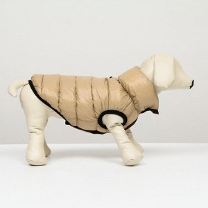 СИМА-ЛЕНД Куртка для собак двухсторонняя с воротником, ДС 24, ОШ 24, ОГ 40, бежевая/коричневая