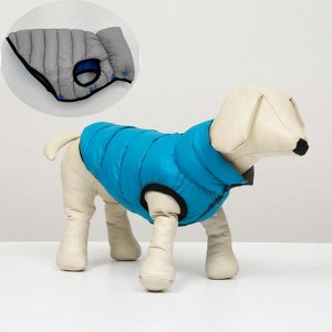 Куртка для собак двухсторонняя с воротником, ДС 30, ОШ 30, ОГ 50, голубая/серая