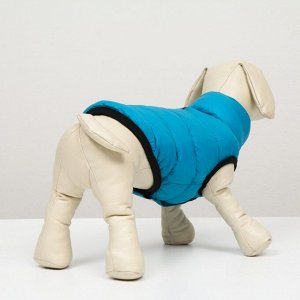 Куртка для собак двухсторонняя с воротником ,XS22 (ДС 22, ОШ 19, ОГ 34 см), голубая/серая