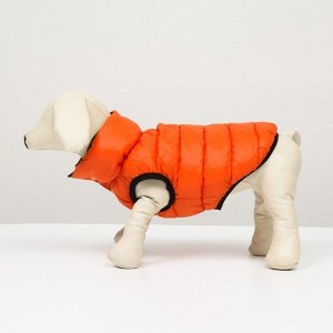 Куртка для собак двухсторонняя с воротником , XS22 (ДС 22, ОШ 19, ОГ 34),оранжевая/зелёная