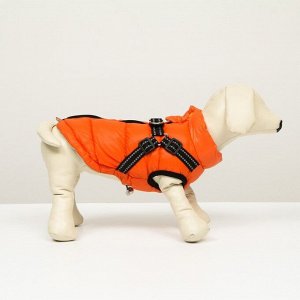Куртка для собак со шлейкой,  размер 8 (ДС 23 см, ОГ 30 см, ОШ 22 см), коралловая