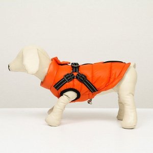 Куртка для собак со шлейкой,  размер 8 (ДС 23 см, ОГ 30 см, ОГ 22 см), коралловая