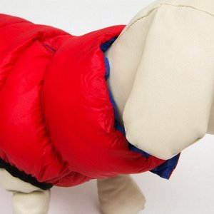 Куртка для собак двухсторонняя с воротником, XS25 (ДС 24, ОШ 29, ОГ 37),  красная/синяя
