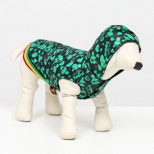 Курточка для собак "Пятнашки", размер 3 (ДС 28,ОШ 30, ОГ 42 см), зелёная