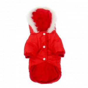 Куртка с капюшоном и мехом, размер XS (ОШ 22, ОГ 32, ДС 20 см), красная