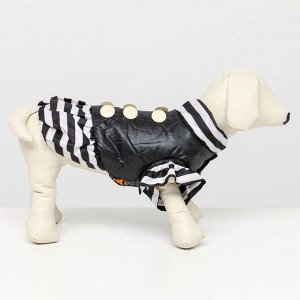 Курточка для собак с воланами, размер 4 (ДС 33,ОШ 35, ОГ 45 см), чёрная