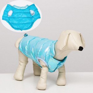 Куртка для собак двухсторонняя с утяжкой размер 14 (ДС 32 см, ОГ 42 см, ОШ 31 см), голубая