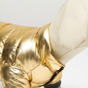 Комбинезон "Космонавт", размер 14 (ДС 32 см, ОГ 42 см, ОШ 31 см), золотой