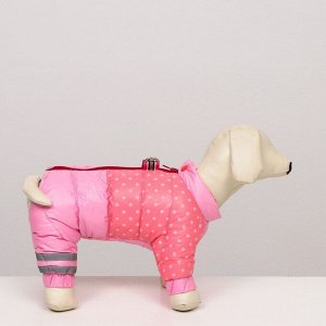 Комбинезон для собак "Горошек", размер 12 (ДС 25, ОГ 36, ОШ 28 см), розовый