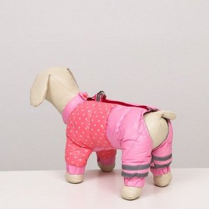 Комбинезон для собак "Горошек", размер 14 (ДС 27, ОГ 38, ОШ 30 см), розовый