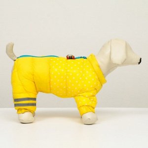Комбинезон для собак  "Горошек",  размер 8 (ДС 23, ОГ 30, ОШ 22 см), жёлто-голубой
