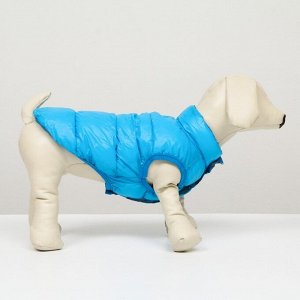 Куртка для собак двухсторонняя с принтом,  размер 8 (ДС 23 см, ОГ 30, ОШ 22 см), голубая