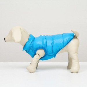 Куртка для собак двухсторонняя с принтом, размер 16 (ДС 36 см, ОГ 46 см, ОШ 35 см), голубая