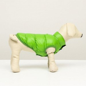 Куртка для собак двухсторонняя с принтом, размер 8 (ДС 20 см, ОГ 30, ОШ 22 см), зелёная
