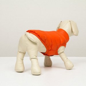 Куртка для собак двухсторонняя с принтом, размер 16 (ДС 36,ОГ 46, ОШ 35 см),коралловая