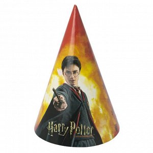 Harry Potter. Набор колпачков, 6 шт