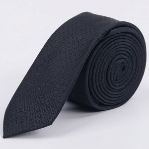 Галстуки Бренд: Svyatnyh. Цвет: чёрный. Фактура: узор. Комплектация: галстук, вешалка-крючок. Состав: микрофибра-100%. Длина, см: 150. Ширина, см: 5.