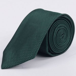 Галстуки Бренд: Svyatnyh. Цвет: зелёный. Фактура: узор. Комплектация: галстук, вешалка-крючок. Состав: микрофибра-100%. Длина, см: 150. Ширина, см: 7.