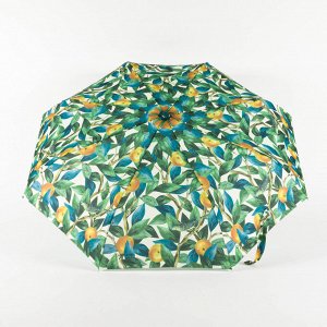 Зонт женский, полный автомат [637295-41]