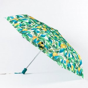 Зонт женский, полный автомат [637695-41]