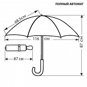 Зонт мужской Классический Полный автомат, увеличенный купол [33820]