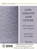 Пряжа для вязания Lanecardate, 100 гр., Vista Blue