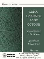 Пряжа для вязания Lanecardate, 200 гр., Silver Pine