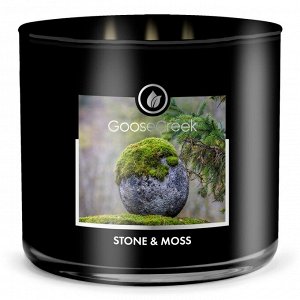 Stone & moss/ камень и мох