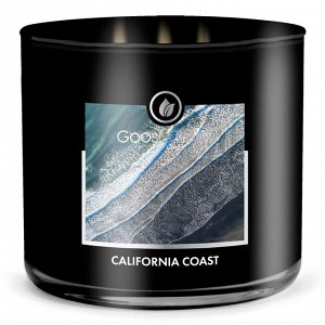 California coast/ калифорнийское побережье