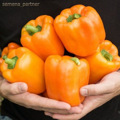 Семена Партнер - шикарные перцы, томаты, редис. А цветы!